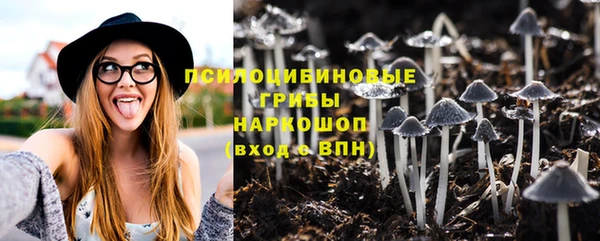 ПСИЛОЦИБИНОВЫЕ ГРИБЫ Алексин