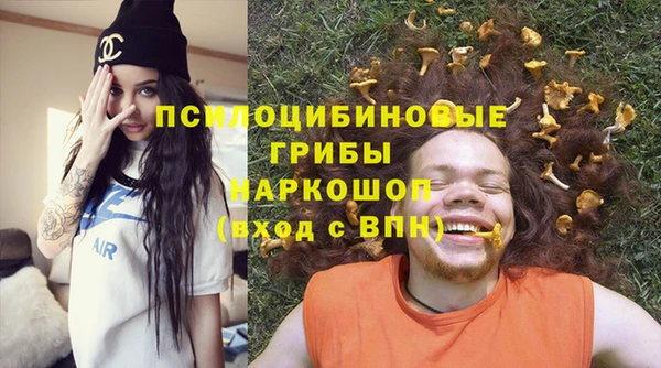 ПСИЛОЦИБИНОВЫЕ ГРИБЫ Алексин