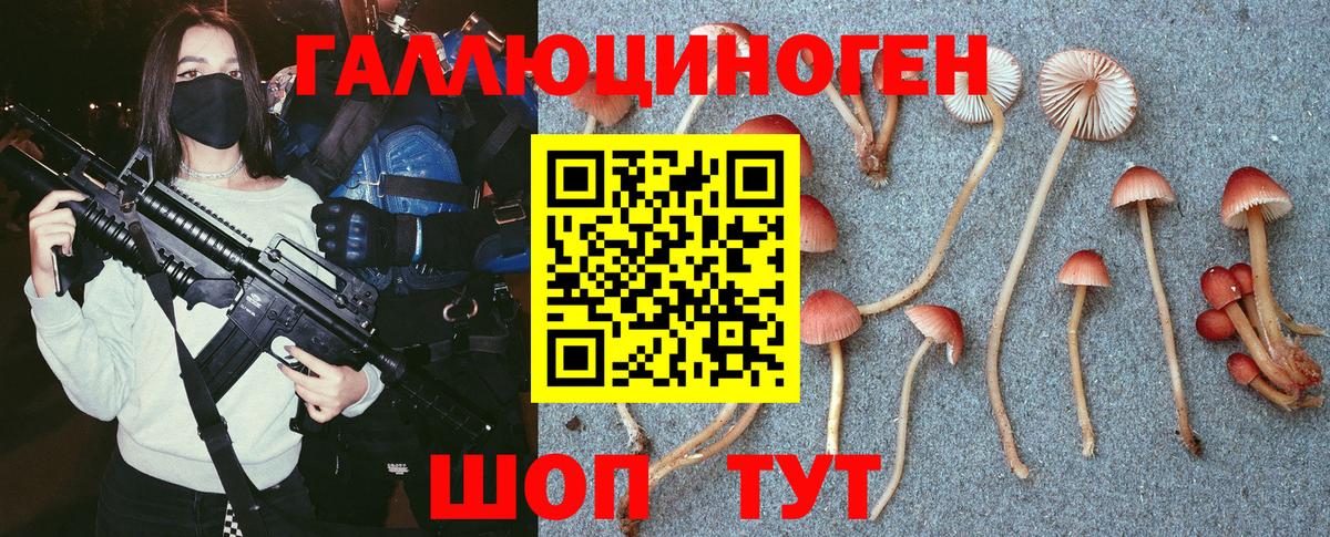 Псилоцибиновые грибы мухоморы Лабинск