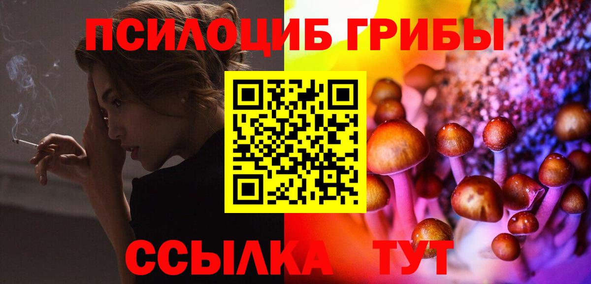 Галлюциногенные грибы Psilocybine cubensis  Вход с VPN  Лабинск 